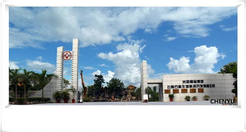 光明食品集團云南石斛生物科技開發(fā)與生物技術(shù)開發(fā)服務(wù)