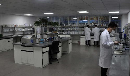 豫企研發(fā)長效防疫抗菌新品 抑菌率達100% 生物技術賦能健康未來