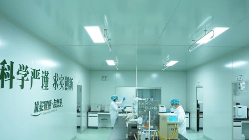 新疆木壘 優(yōu)駝長眉駝工廠投產，以生物科技驅動全產業(yè)鏈，擘畫鄉(xiāng)村振興新藍圖