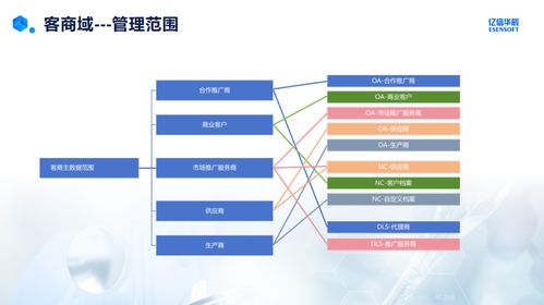 藥企客商域主數(shù)據(jù)管理實踐與挑戰(zhàn) 基于數(shù)據(jù)處理服務(wù)的視角